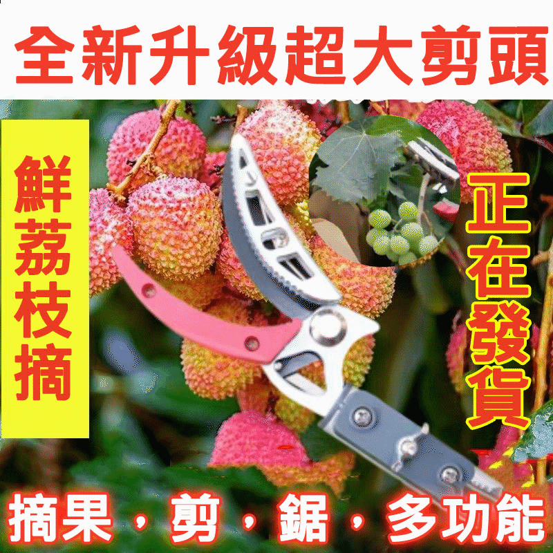 【專為果農朋友打造】可伸縮高枝摘果器 最長可達5m 再也不用爬樹摘果修枝了