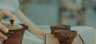 1680142625482047.gif DM_20230330101456_001.GIF