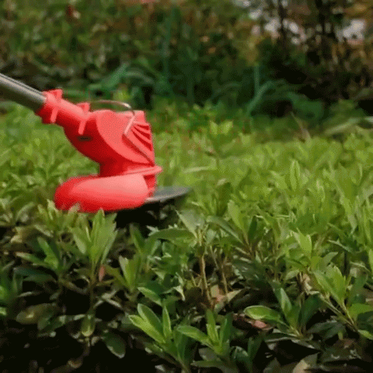 1724231520912434.gif 10007.gif