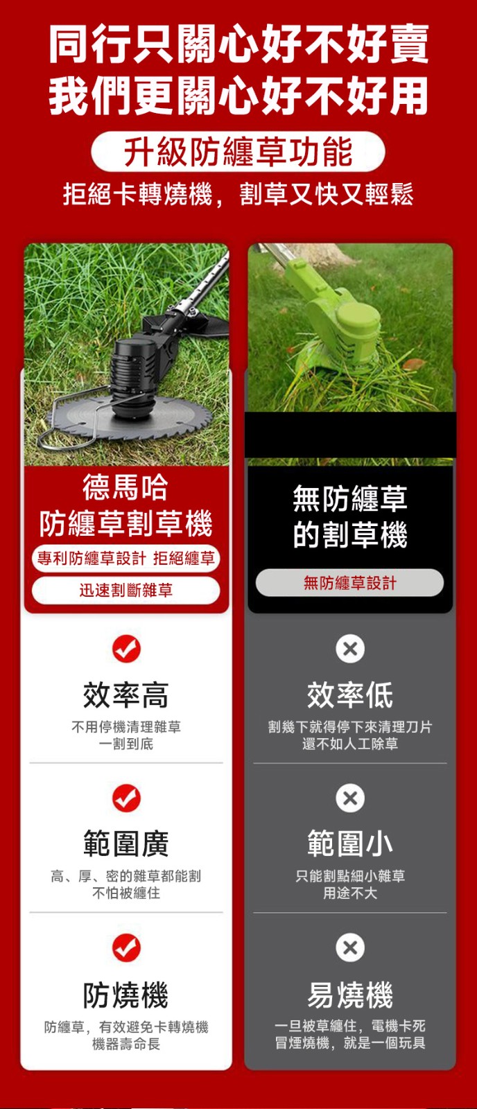 1724231624873666.jpg 10011.jpg