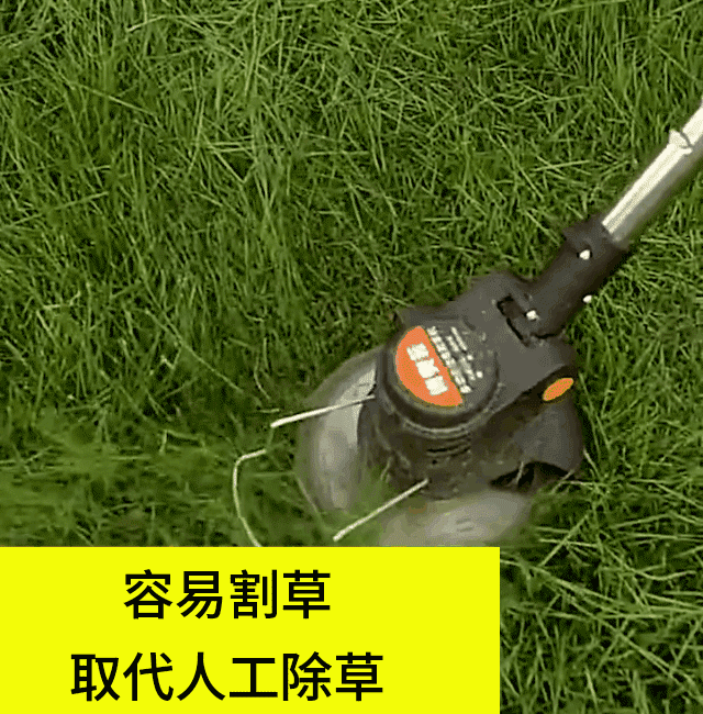 1724231656641103.gif 10012.gif