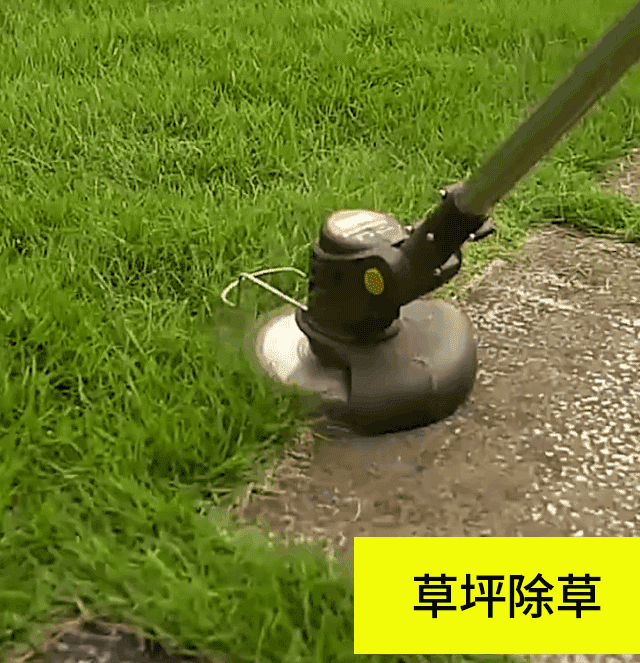 1724231778809752.gif 10015.gif