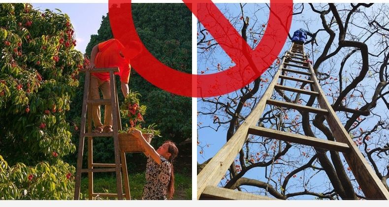 1747795051127902.jpg 1747794249575-1859794587.jpg